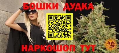 шишки Канаш