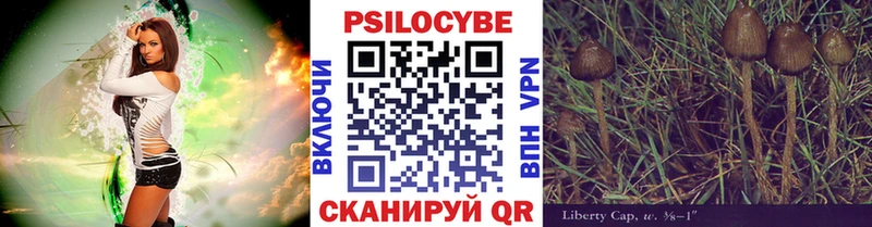 Галлюциногенные грибы MAGIC MUSHROOMS  Курчалой 